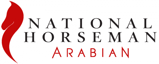 National Horseman Arabian