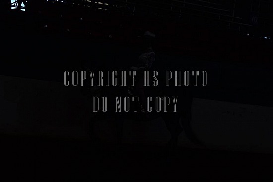 085-010-18-SS.JPG Southern States Horse Show 
