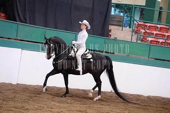 085-001-18-SS.JPG Southern States Horse Show 
