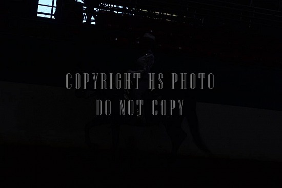 085-011-18-SS.JPG Southern States Horse Show 