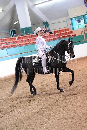 085-019-18-SS.JPG Southern States Horse Show 