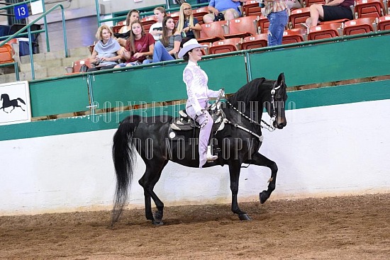 085-017-18-SS.JPG Southern States Horse Show 