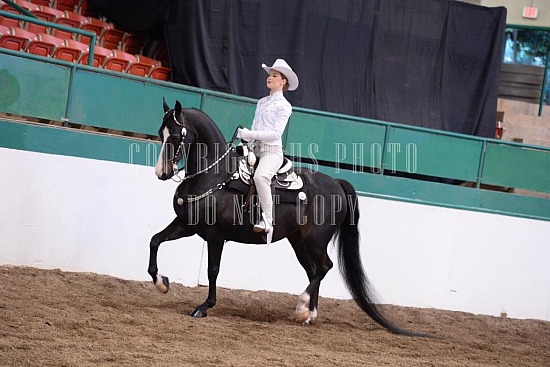 085-002-18-SS.JPG Southern States Horse Show 