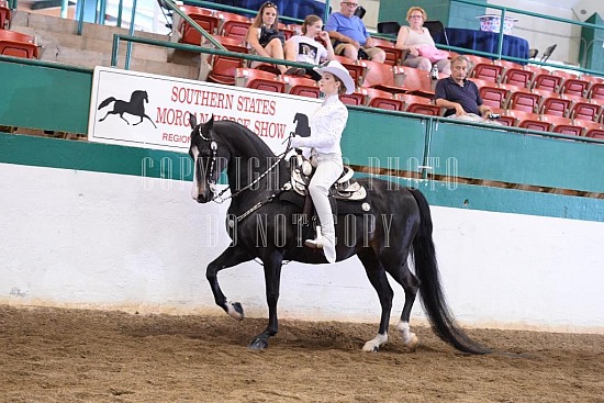 085-012-18-SS.JPG Southern States Horse Show 