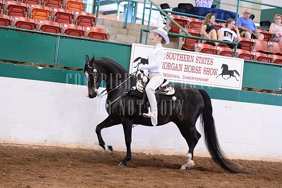 085-013-18-SS.JPG Southern States Horse Show 