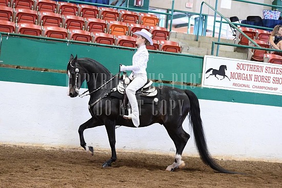 085-014-18-SS.JPG Southern States Horse Show 