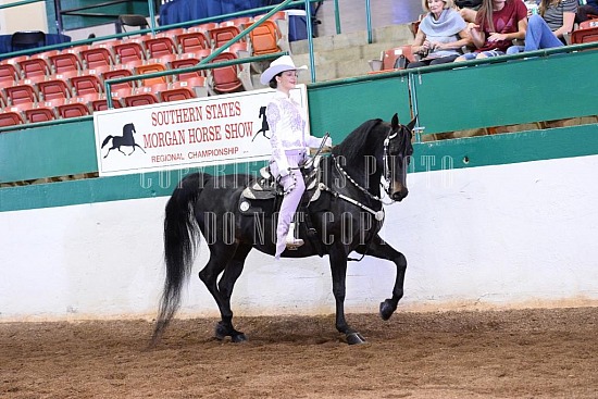 085-015-18-SS.JPG Southern States Horse Show 