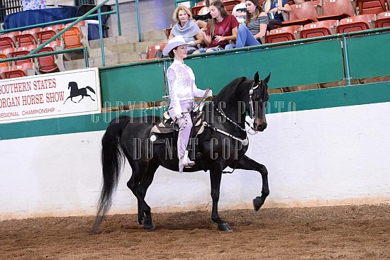 085-016-18-SS.JPG Southern States Horse Show 
