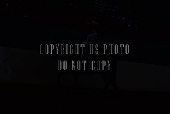 085-009-18-SS.JPG Southern States Horse Show 