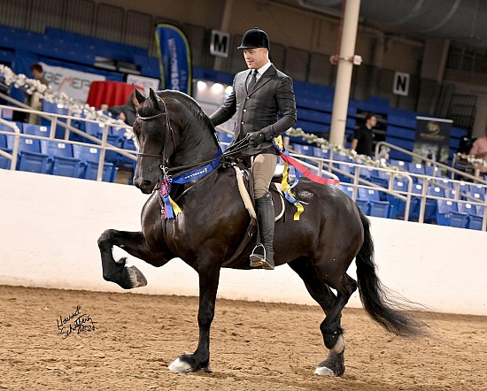 Carousel Charity Horse Show