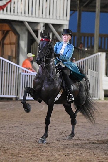 Shelby County Fair Horse Show