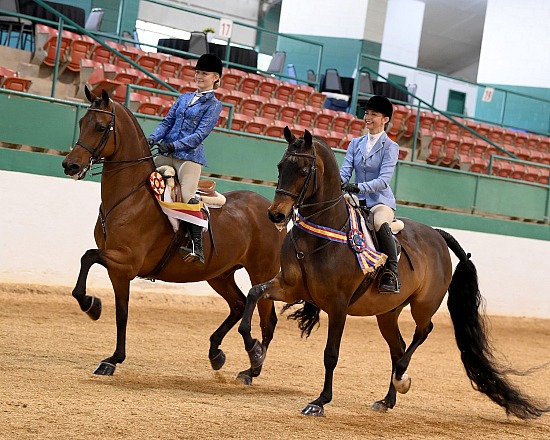 Southern States Championship