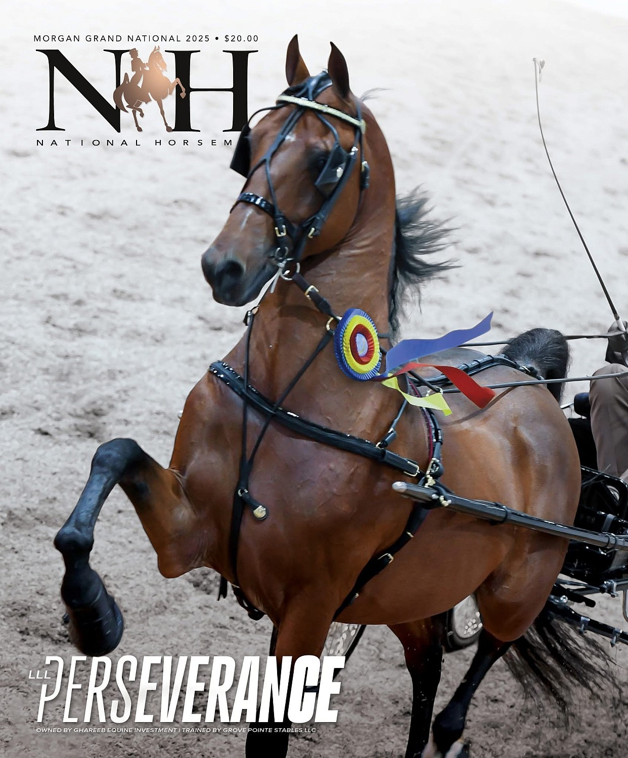 Published Covers | IMG_4356.JPG