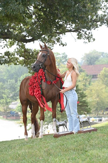National Show Horse Finals